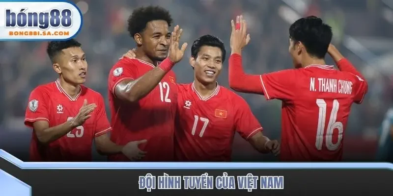 Đội hình tuyển của Việt Nam